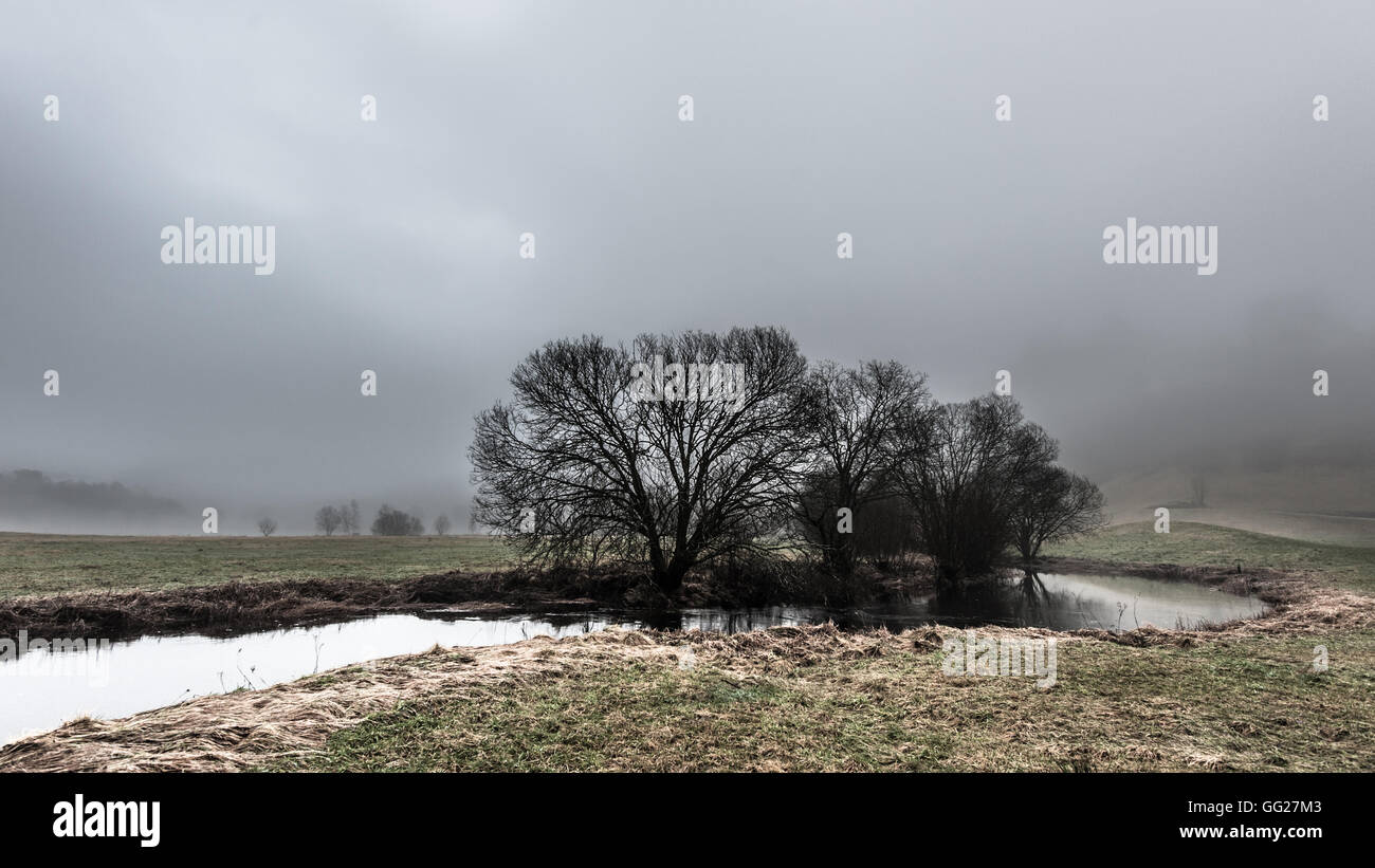 Ein Fluss-Kurven um einige Bäume in figgy Wetter Stockfoto