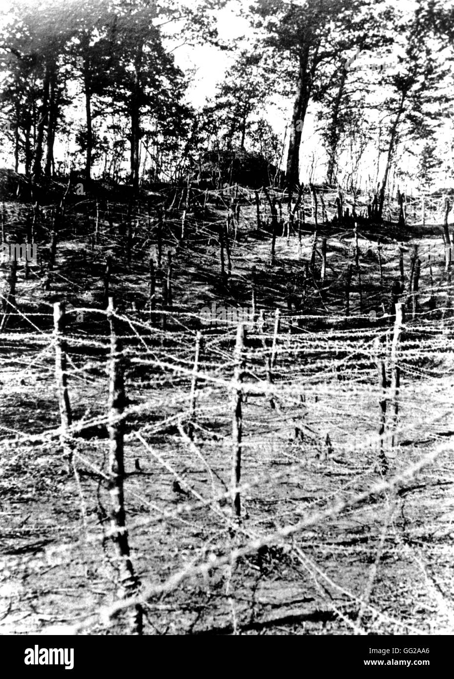 Bois De La Génerie: Stacheldraht überall Juni 1915 Frankreich - Weltkrieg-Brüssel. Musée de l'Armée Stockfoto