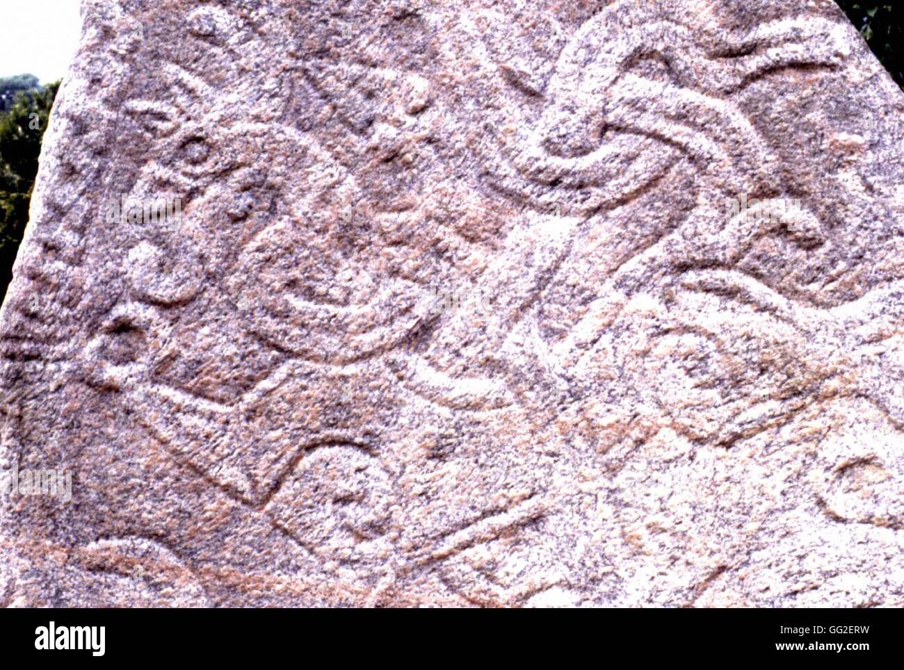 Runenstein mit einem geschnitzten Drachen für den Ahnenkult.  Dänemark 983 Jelling Stockfoto