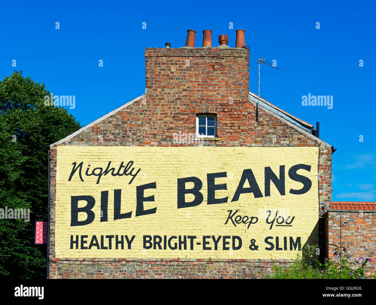 Zeichen Werbung Galle Bohnen auf Lord Mayor gehen, York, North Yorkshire, England UK Stockfoto