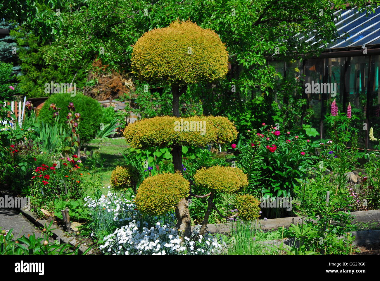 Steingarten, Gartenarchitektur, Gartengestaltung Stockfoto