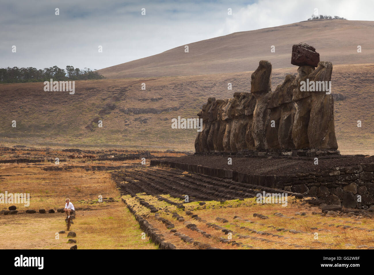 Ahu Tongariki Stockfoto