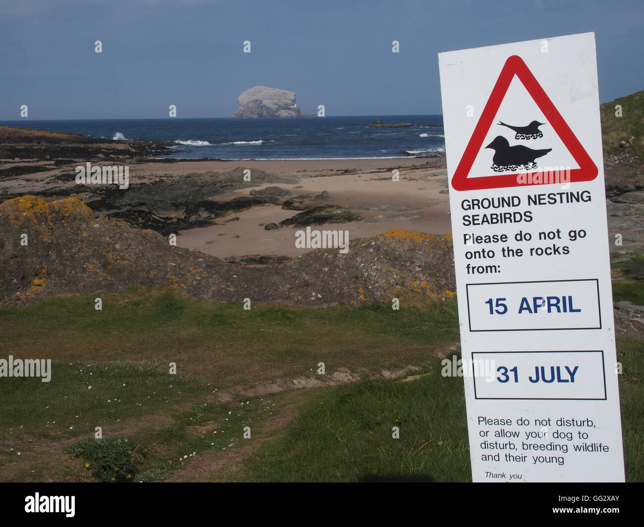 Warnschild, Boden Verschachtelung Vögel, North Berwick und Bass Rock Stockfoto
