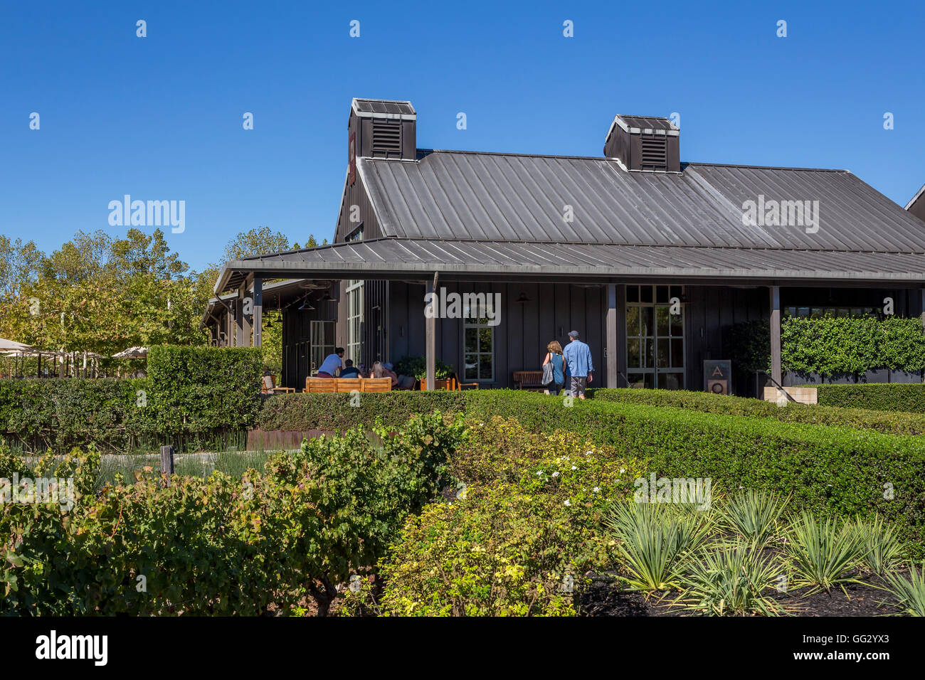 Menschen, Touristen, Weinprobe, Outdoor-Weinprobe, Terrasse im freien Verkostung, Alpha Omega Winery, Napa Valley, Kalifornien Stockfoto