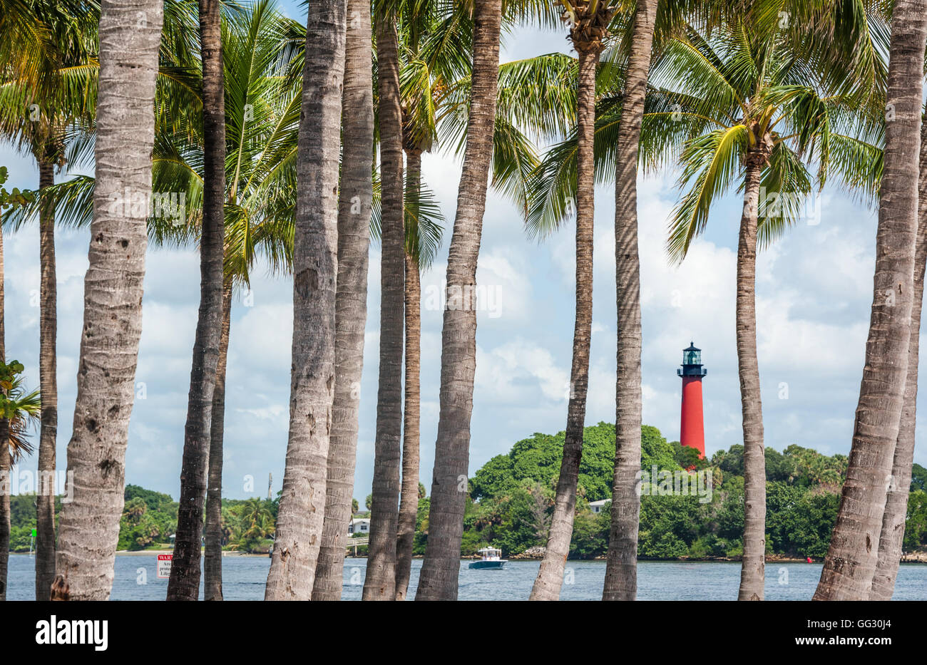 Jupiter-Leuchtturm im nördlichen Palm Beach County, Florida durch einen Stand von Palmen neben dem Jupiter Inlet gesehen. Stockfoto