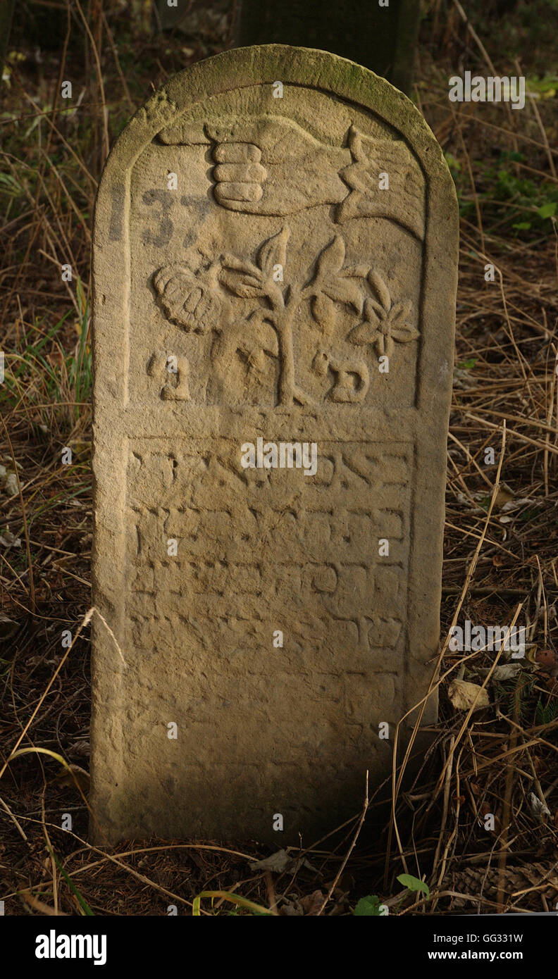 5512---Vatra Dornei, Rumänien. Verzierte Grabstein aus dem alten Friedhof aus dem 18. – 19. C. Stockfoto