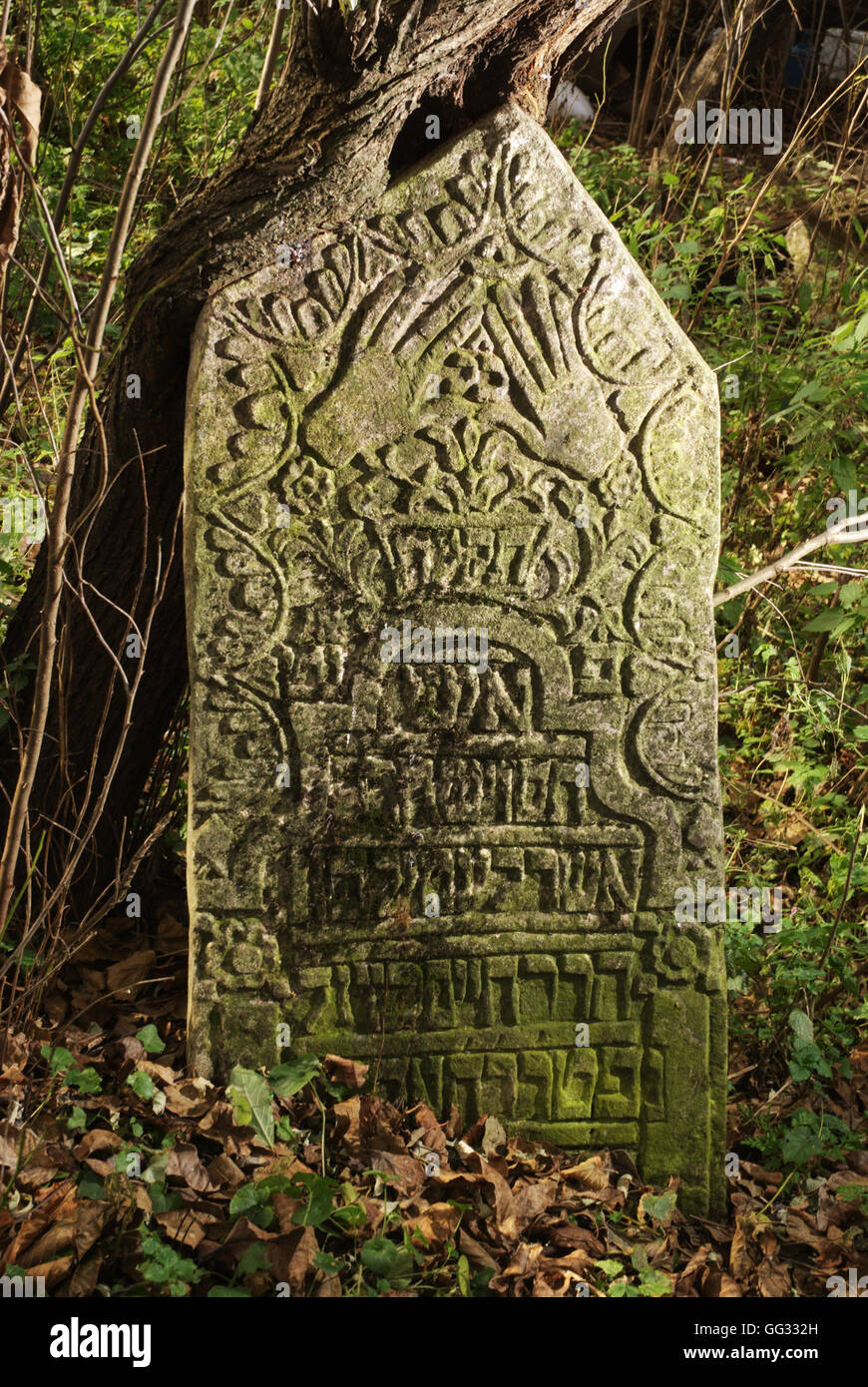5516.Suceva, Rumänien. Verzierte Grabstein aus dem alten Friedhof aus dem 18. – 19. C. Stockfoto