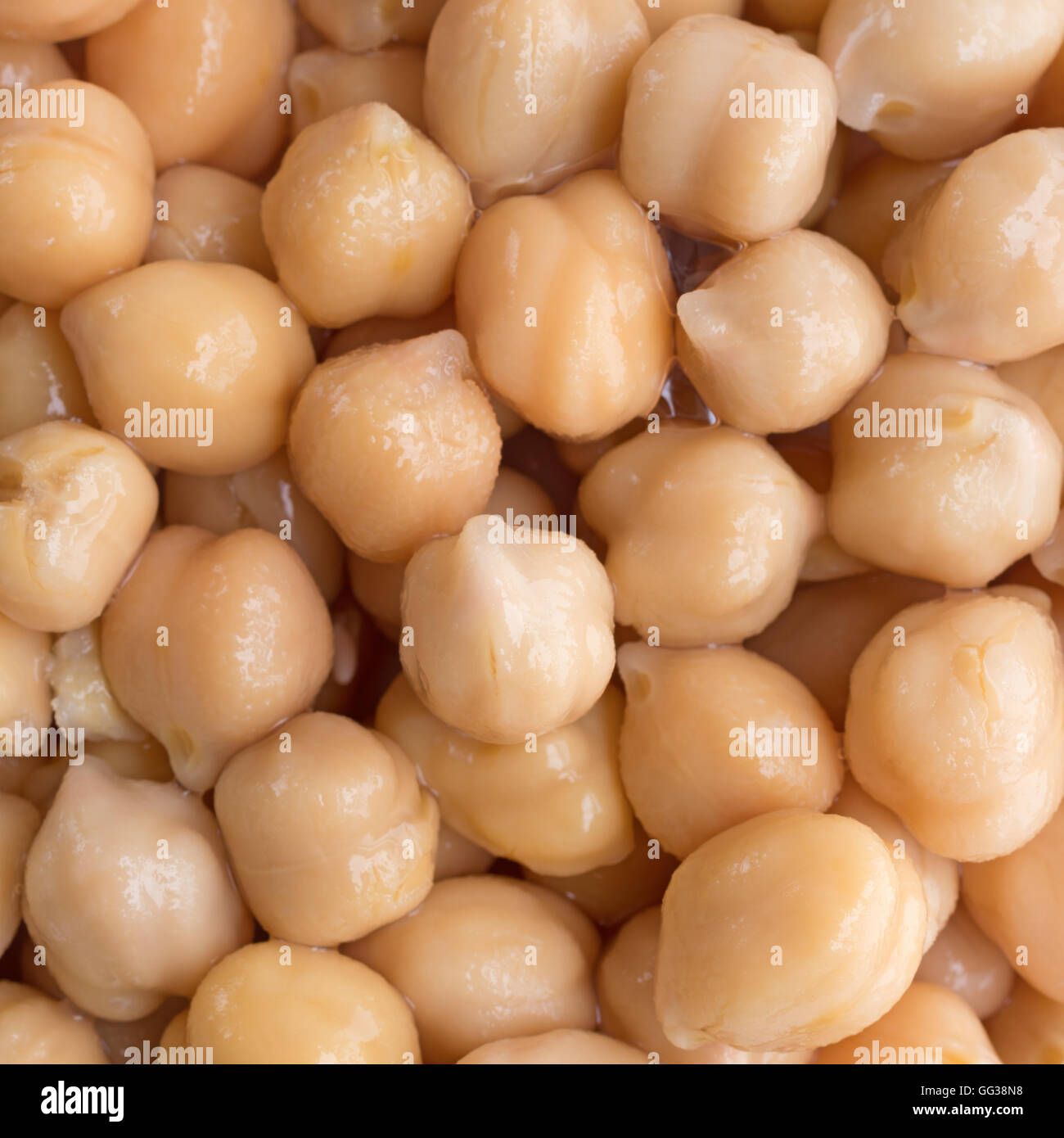 Ganz in der Nähe Blick auf organische Garbanzo Bohnen. Stockfoto