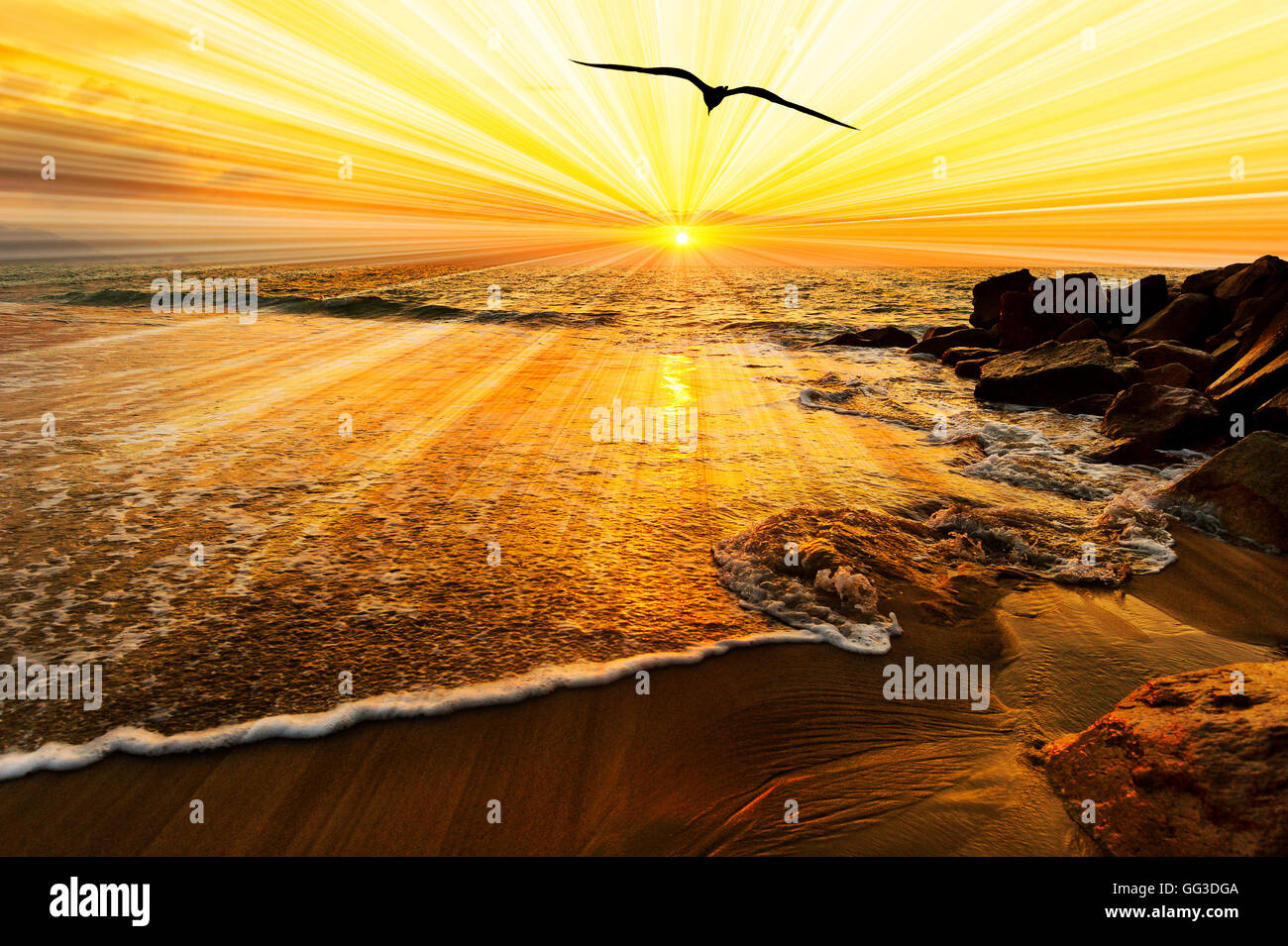 Vogel-Silhouette-Sonnenuntergang ist ein einziger Vogel fliegen über das Meereswasser Sonnenstrahlen von der Sonne her platzen. Stockfoto