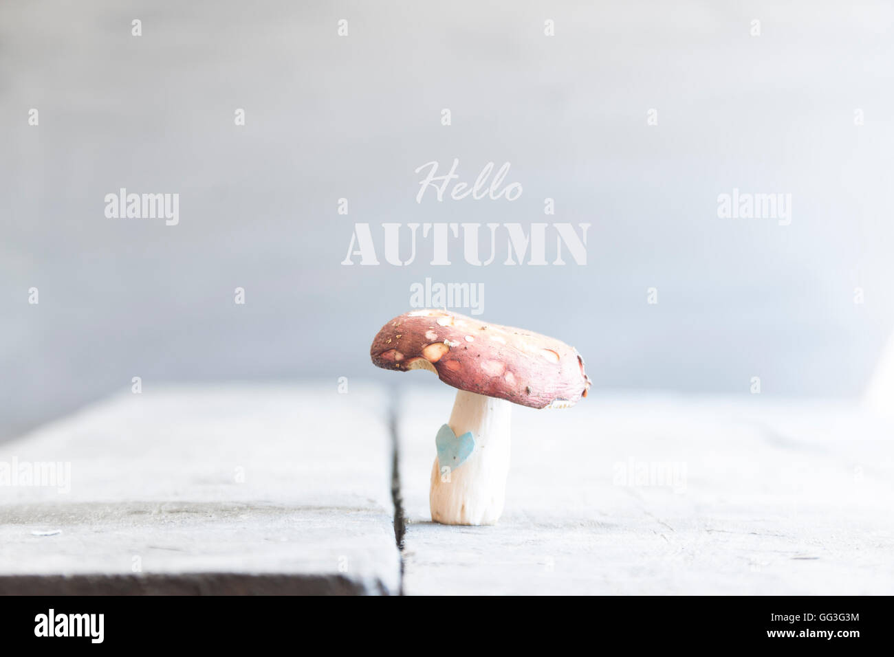 Hallo Herbst Idee Pilz mit Herz und text Stockfoto
