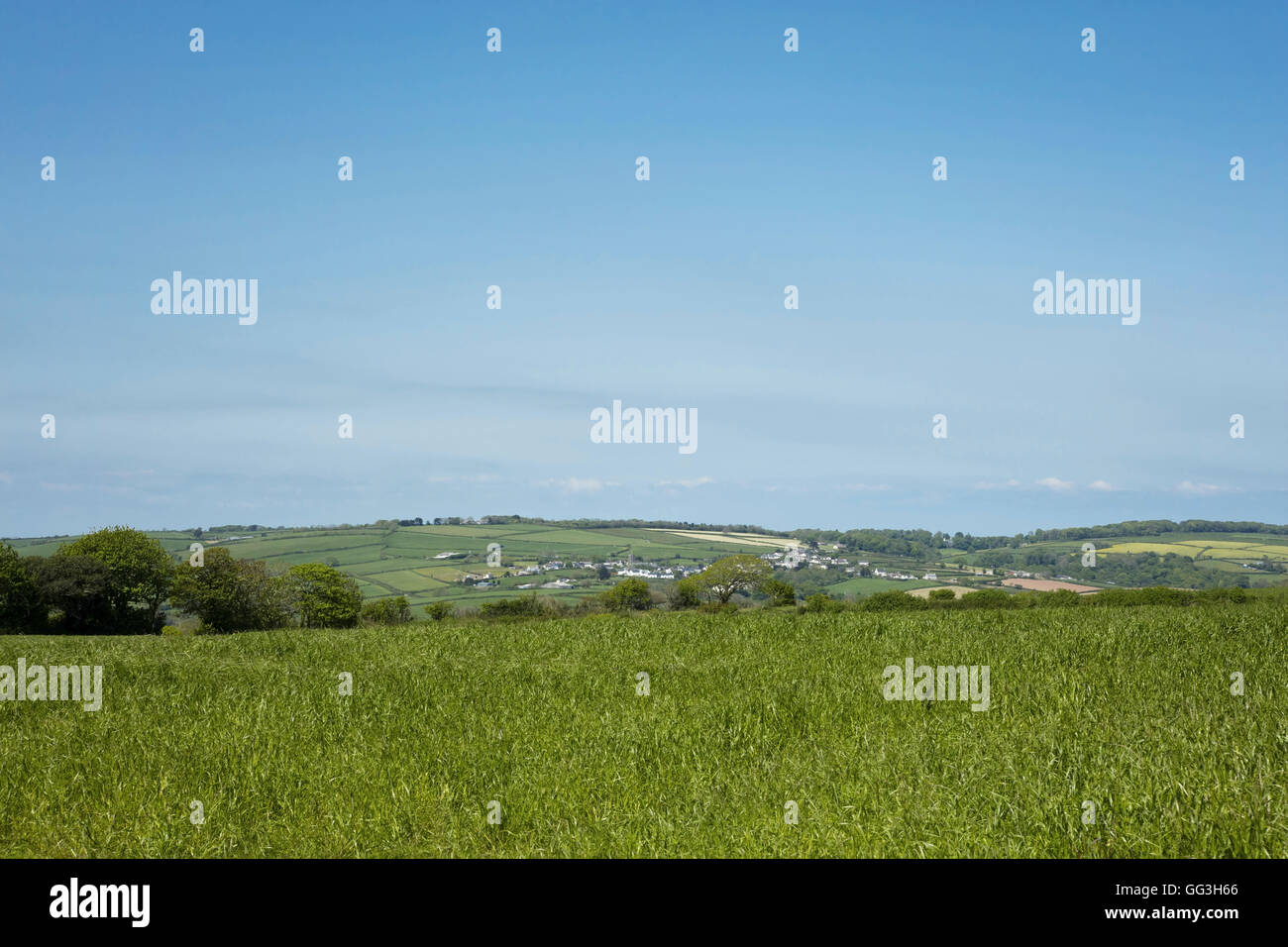 Bauernhof-Felder von South Devon England Stockfoto