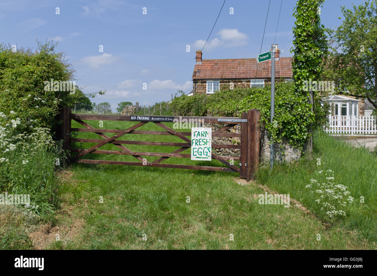 Holztor in einem Acker ein Schild mit der Aufschrift "frische Landeier" mit Bauernhaus im Hintergrund anzeigen. Stockfoto