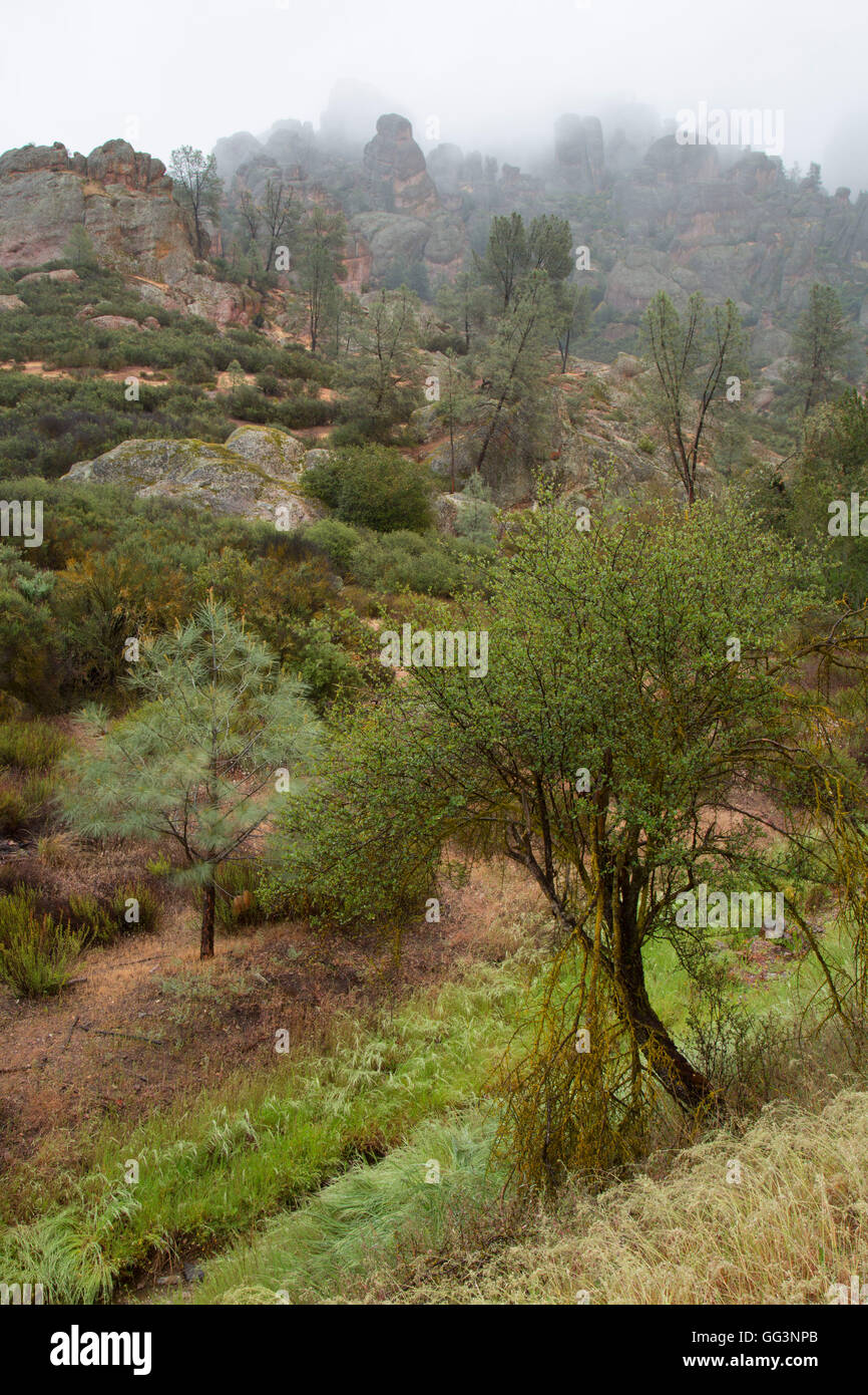 Hohen Gipfel von Juniper Canyon Trail, Pinnacles National Park, Kalifornien Stockfoto