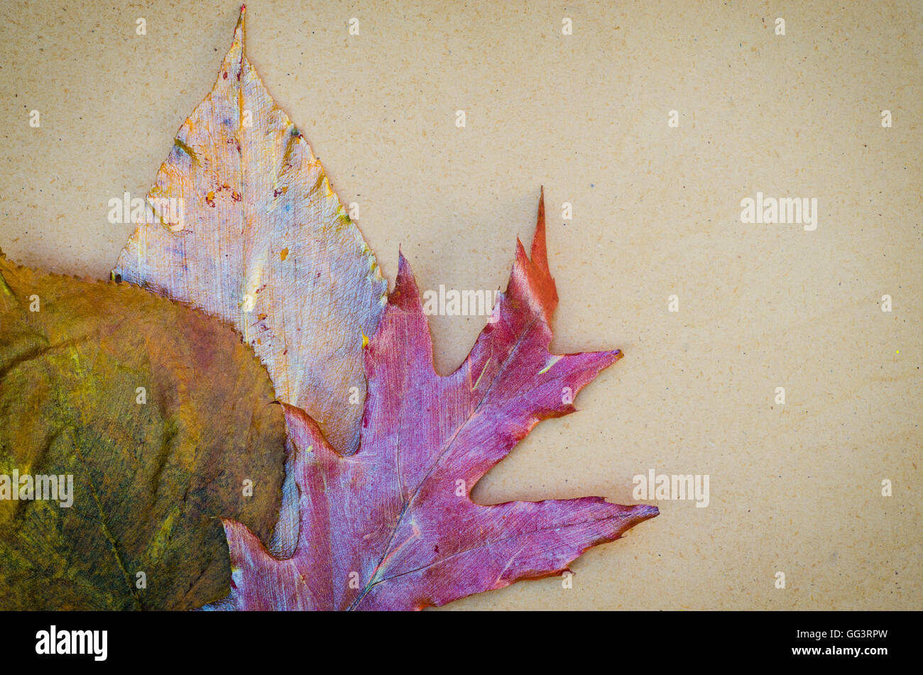 Gruppe von bemalten Blätter im Herbst Stockfoto