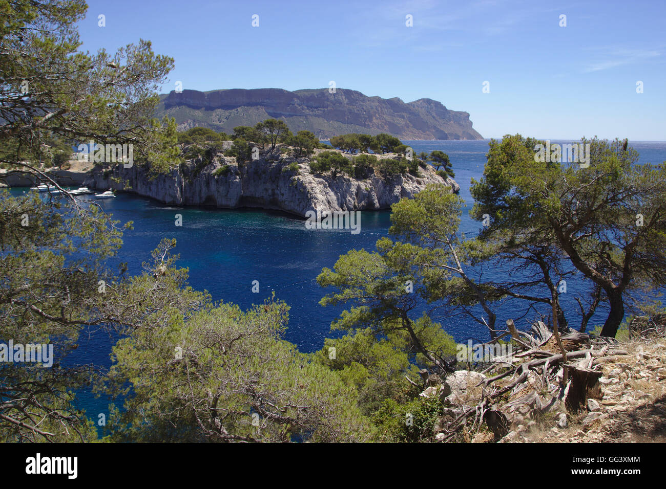 Blick über die Calanque de Port Miou in Richtung Cap Canaille, in der Nähe von Cassis, Frankreich Stockfoto