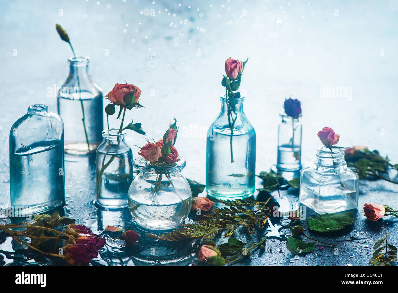 Glas-Kollektion mit Blumen Stockfoto