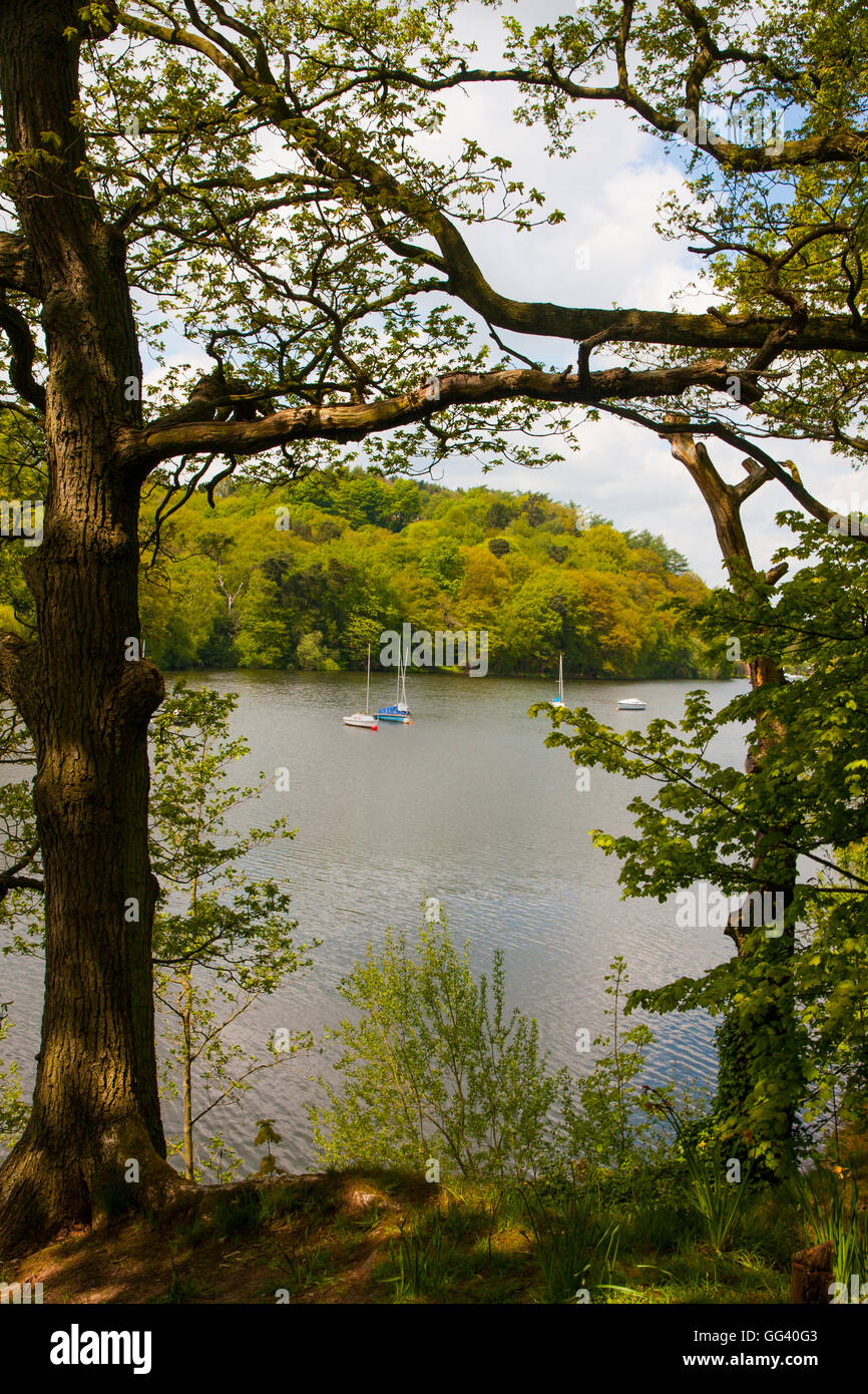 Rudyard Lake Derbyshire Stockfoto