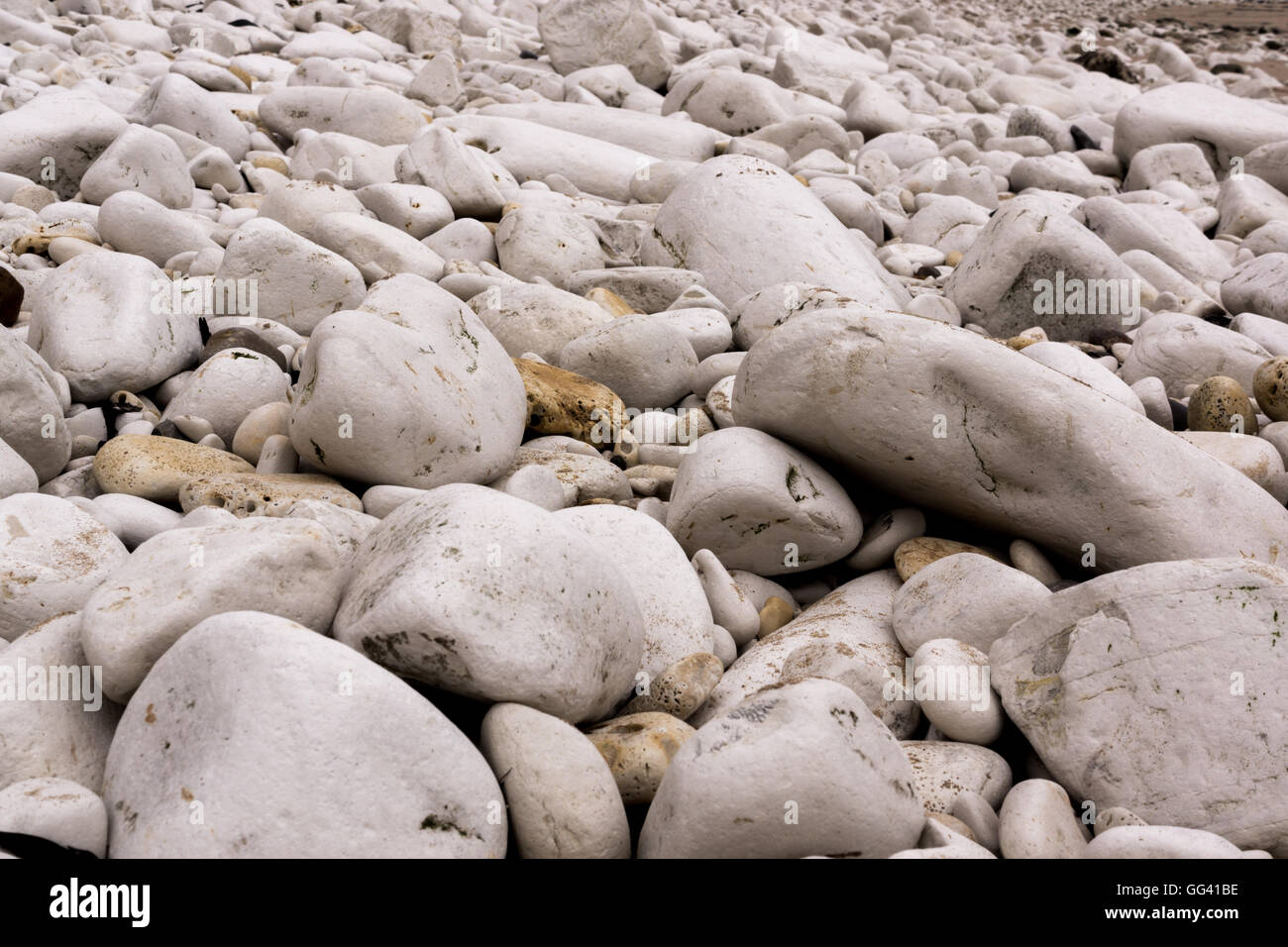 Weiße Steine am Strand Stockfoto