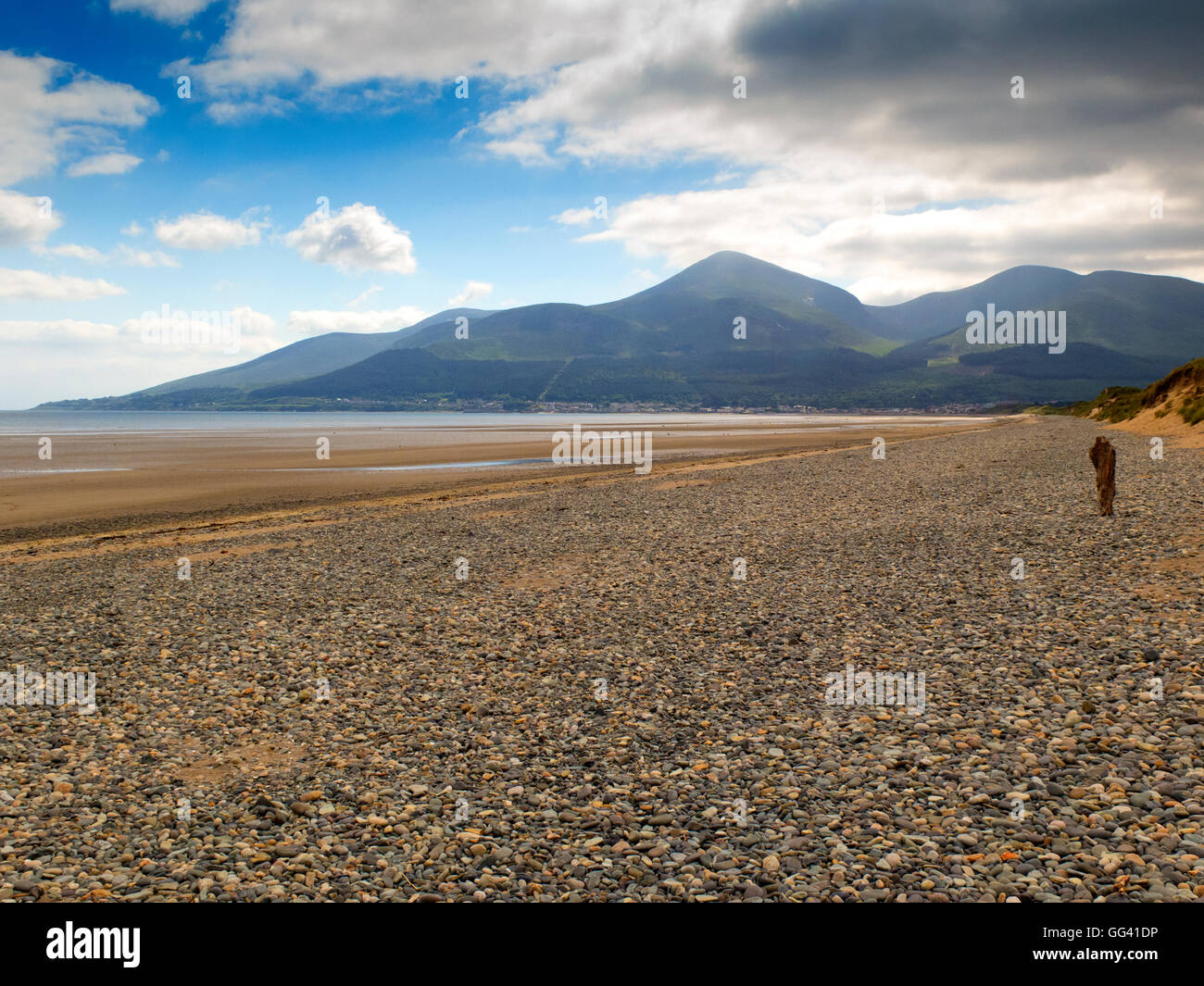 Murlough National Nature Reserve mit Bergen von Mourne im Abstand Stockfoto