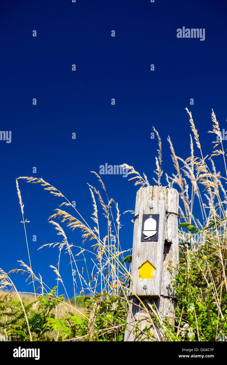 Wegpunkt auf dem South West Coast Path in der Nähe von Lantic Bay, Cornwall Stockfoto