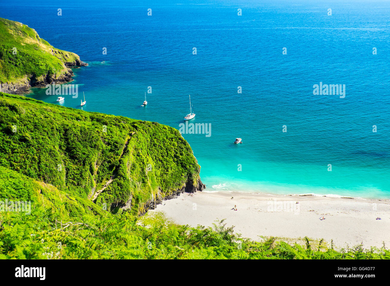 Lantic Bay in der Nähe von Polruan, Cornwall, liegt auf der South West Coast Path Stockfoto