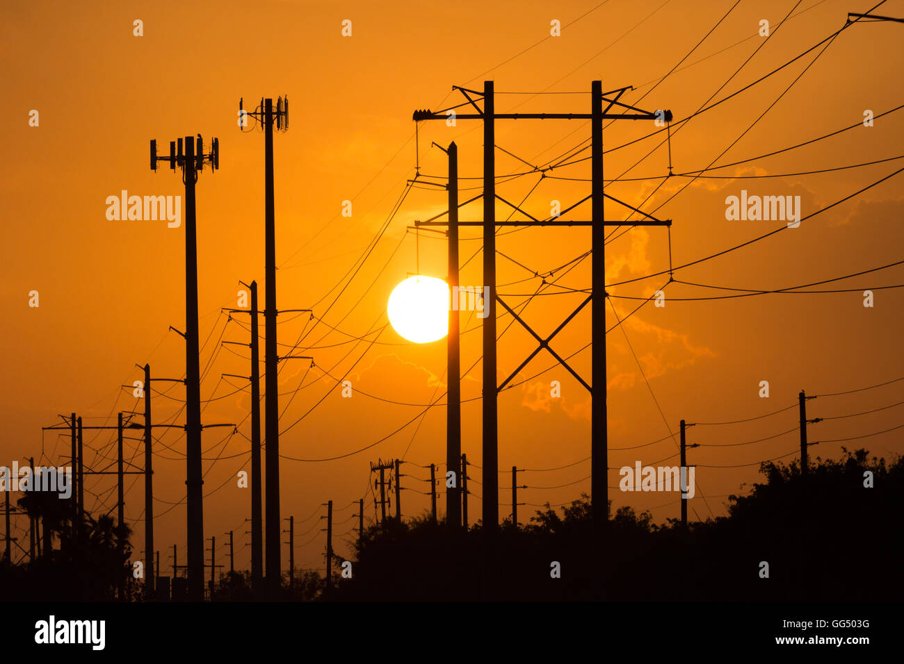 Stromleitungen in der Florida Sonnenuntergang Silhouette Stockfoto