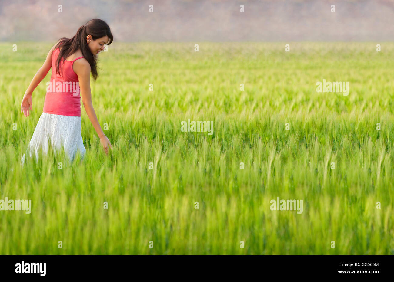 Frau zu Fuß durch ein Feld Stockfoto