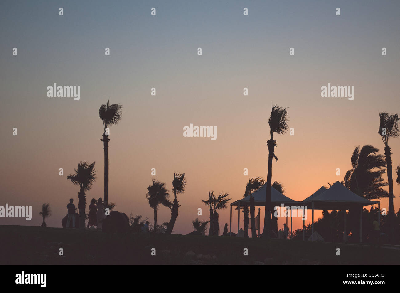 Sonnenuntergang Palmen in Ayia Napa Stockfoto