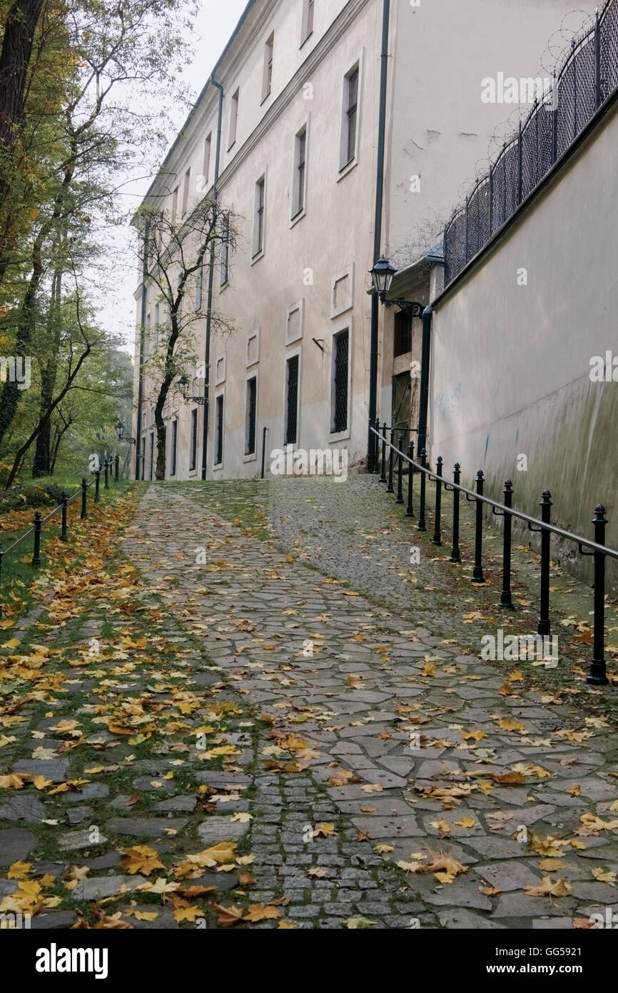 Herbst Pfad in einem Park in Krakau in der Nähe der Kathedrale von St. Peter und Paul Stockfoto