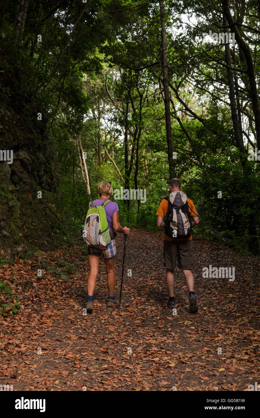 Paare, die auf einem Waldweg in Erjos, Teneriffa, Kanarische Inseln, Spanien Stockfoto