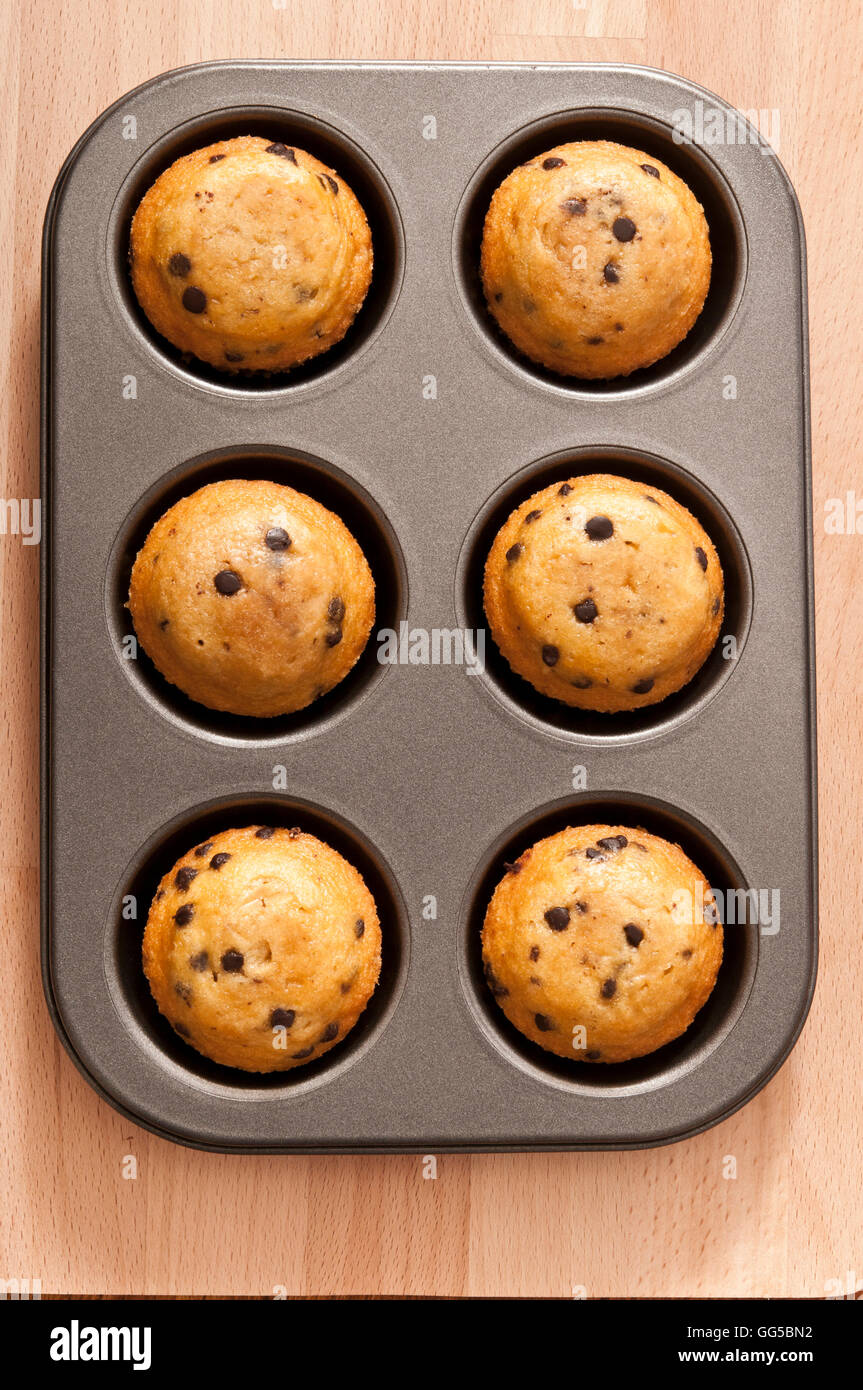 Muffin mit Schokolade-chips in der Küche Tablett, direkt aus dem Ofen Stockfoto