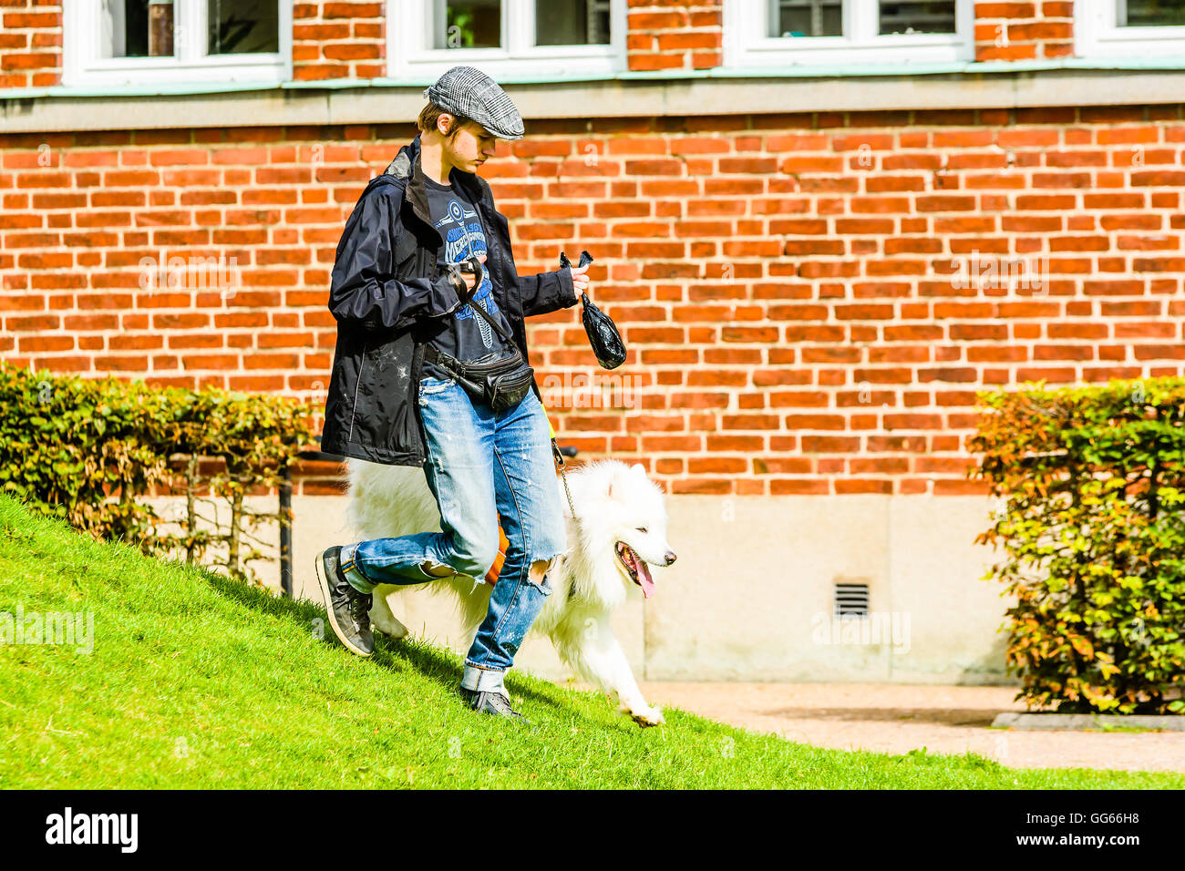 Ystad, Schweden - 1. August 2016: Echte Menschen im Alltag. Junger Erwachsener Mann spazieren mit einem Samojeden Hund trägt eine orange R Stockfoto