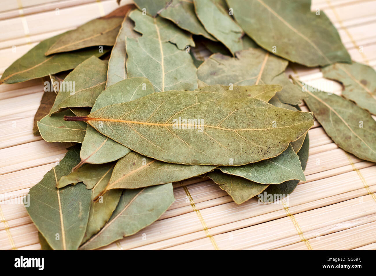 Trockenen Lorbeerblätter auf hellen Holz Hintergrund Stockfoto