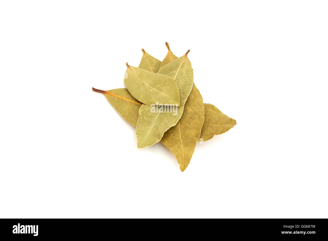 Trockenen Lorbeer Blätter isolierten auf weißen Hintergrund Stockfoto