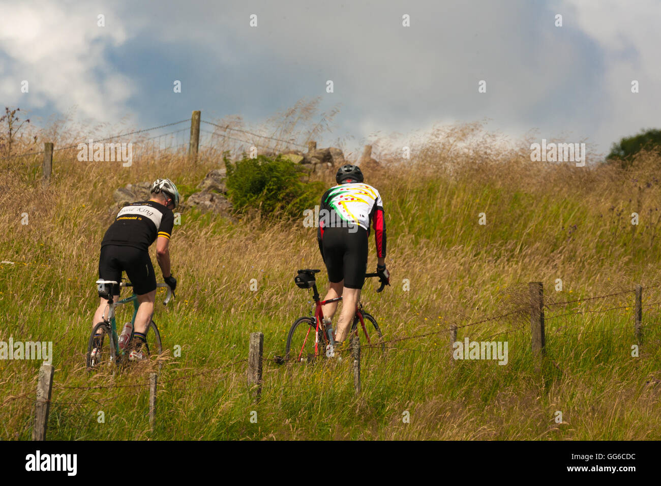 Radfahrer, Klettern einen steilen Hügel in Zentral-Schottland - 30. Juli 2016 Stockfoto