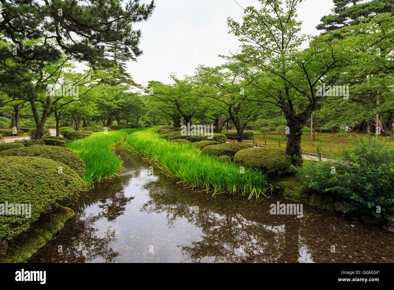 Stream mit üppigem Grün und Reflexionen, Kenrokuen, einer der schönsten Landschaftsgärten Japans im Sommer, Kanazawa, Japan Stockfoto