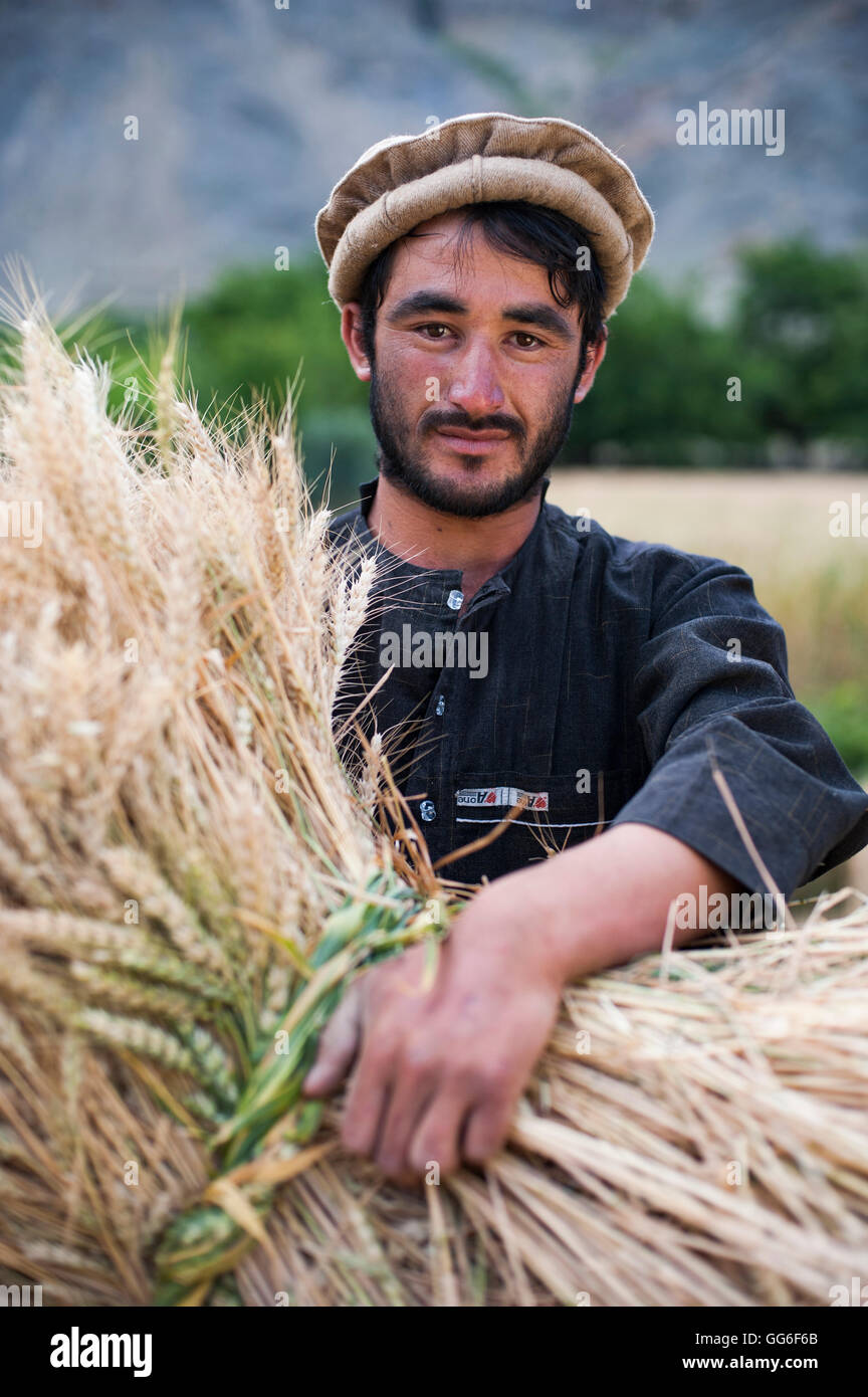 Ein Bauer hält ein frisch geschnittenen Bündel von Weizen im Panjshir-Tal, Afghanistan, Asien Stockfoto