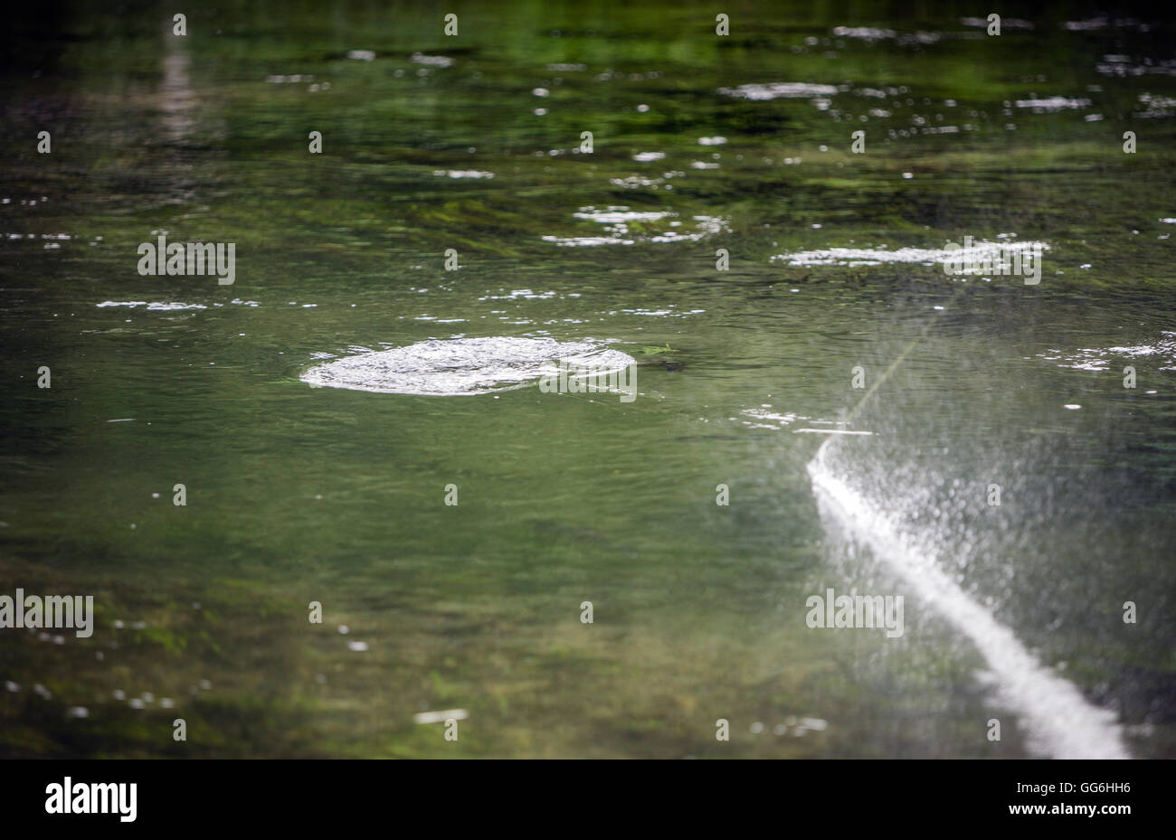 Angelschnur gezogen von Trout River Test, Leckford Estate, Hampshire, England, UK Stockfoto