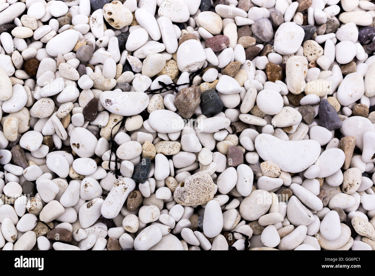 Weiße Steine am Strand Stockfoto