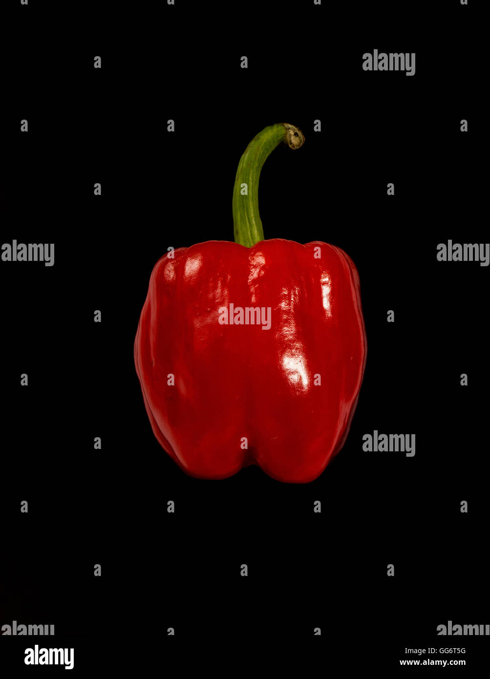 rote Paprika mit grün auf schwarzem Hintergrund Stockfoto