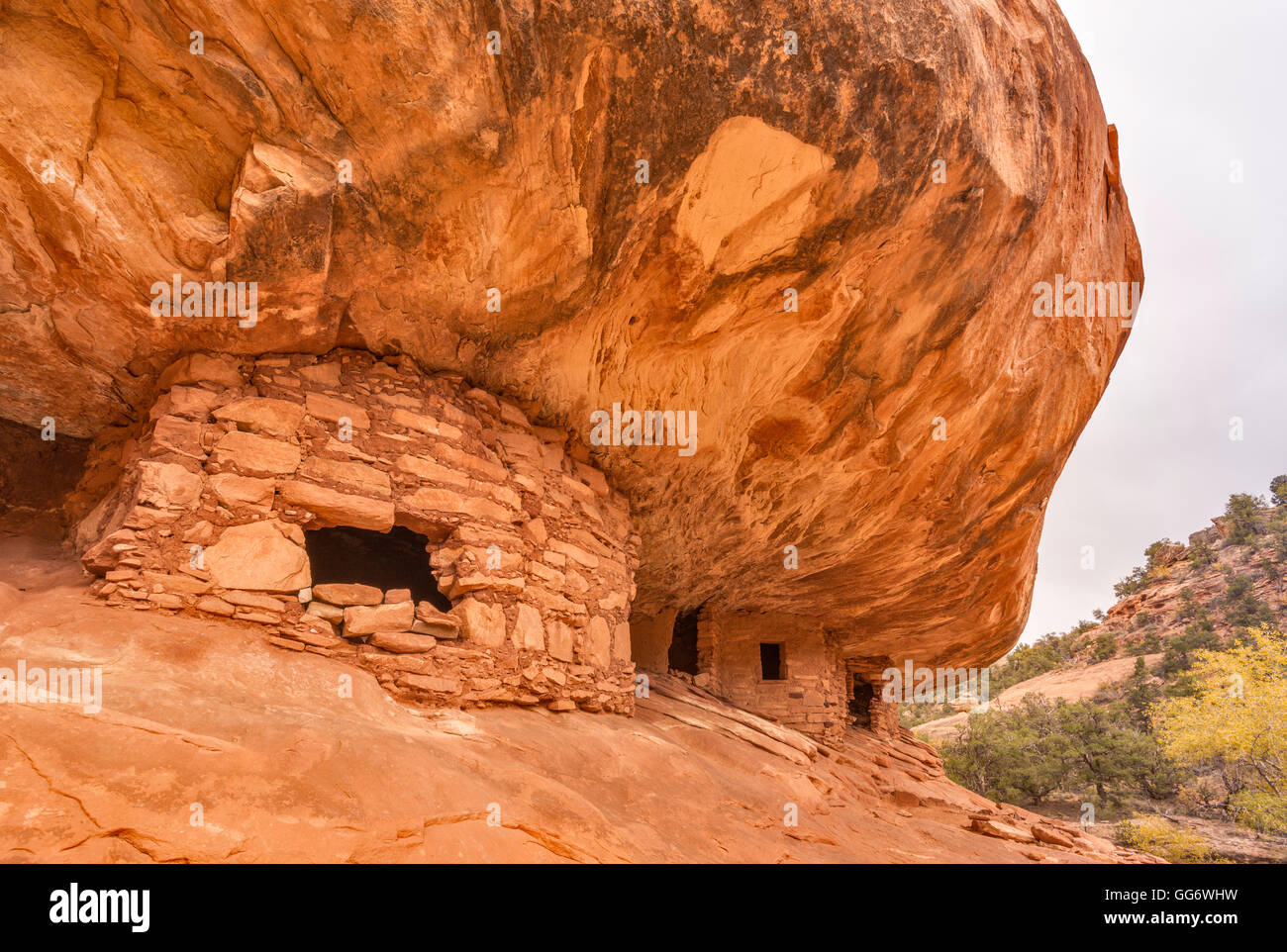 House on Fire, Puebloan Cliff Wohnung in Mule Canyon auf Cedar Mesa, Shash Jaa Einheit, Bears Ears National Monument, Utah, USA Stockfoto