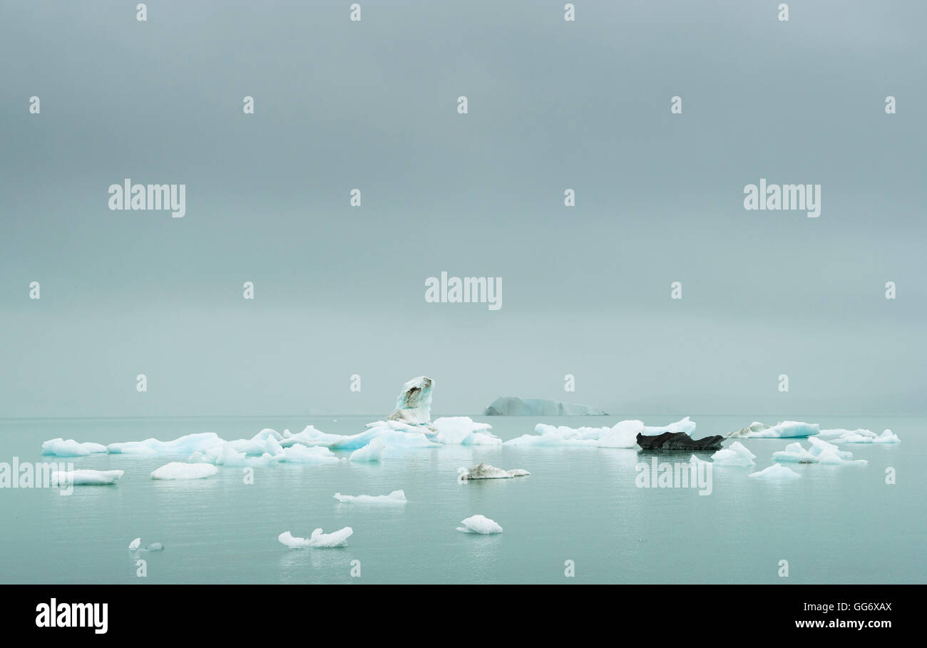 Marine Nebel und Eisberge auf Alsek See, Alsek River Stockfoto