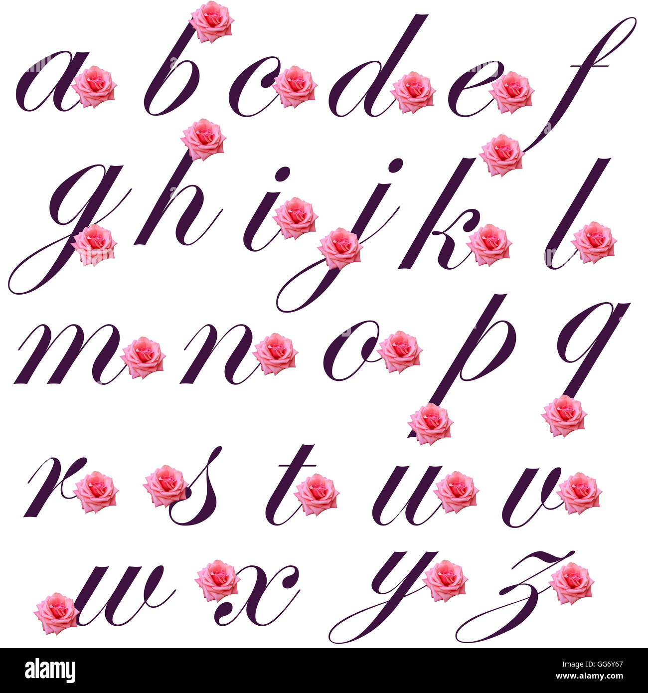englisches Alphabet mit rosa Rosen illustration Stockfoto