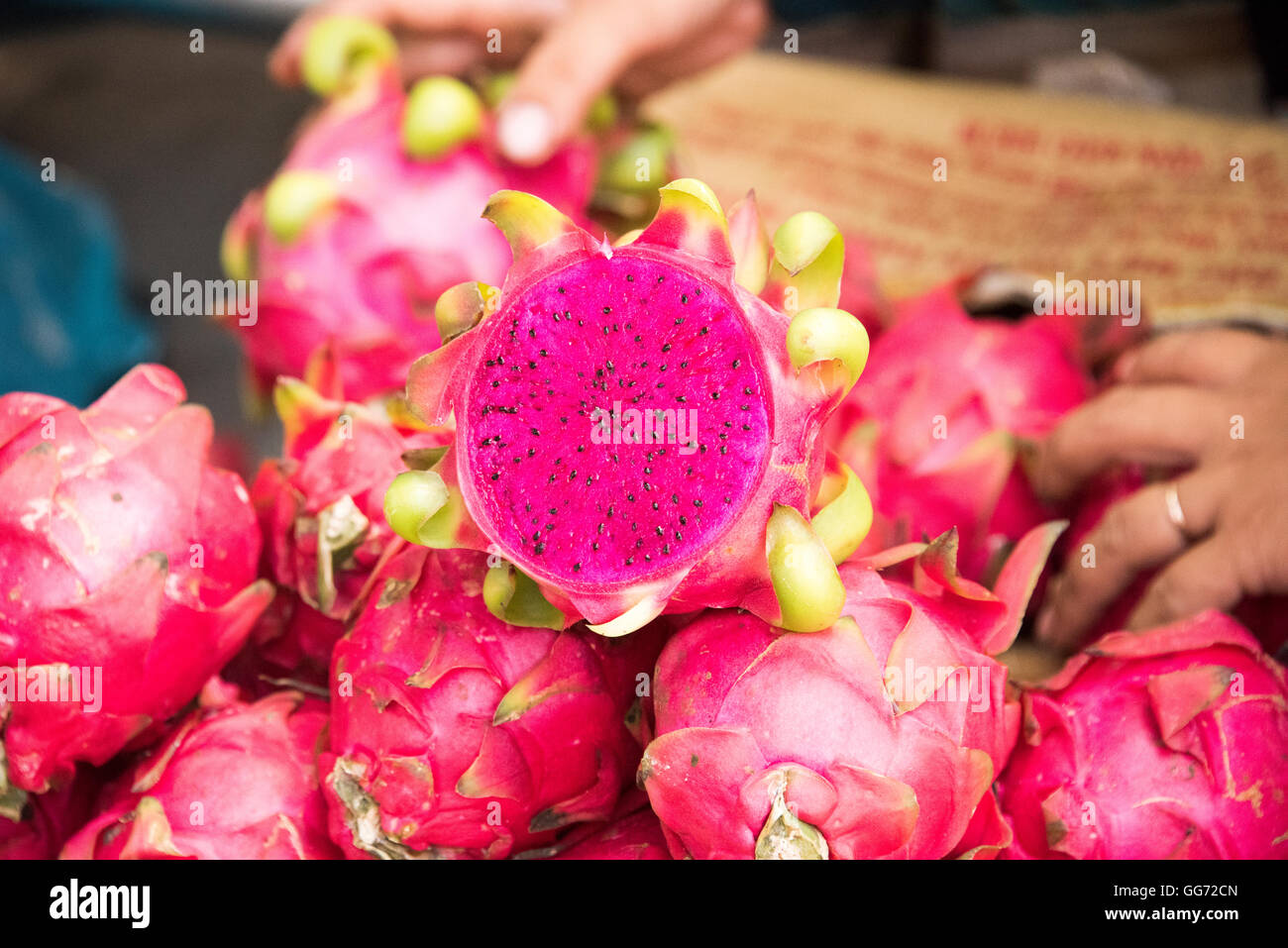 Vietnamesische Drachenfrucht schneiden frisch auf dem Markt in Hoi an ein Stockfoto