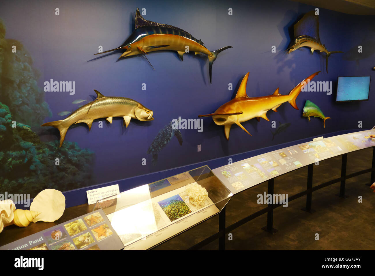 Ausstellung auf dem Monte L. Bean Life Science Museum auf dem Campus der Brigham Young University in Provo, Utah. Stockfoto