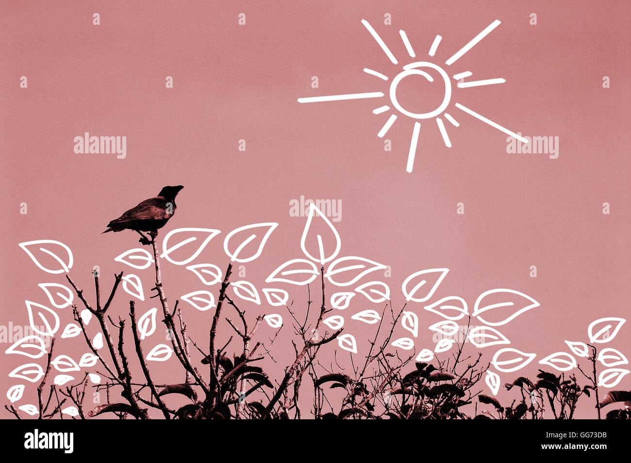 Vintage Sommer Himmel Landschaft suchen. Eine Krähe sitzt auf einem sterbenden Baum ohne Blätter. Stockfoto