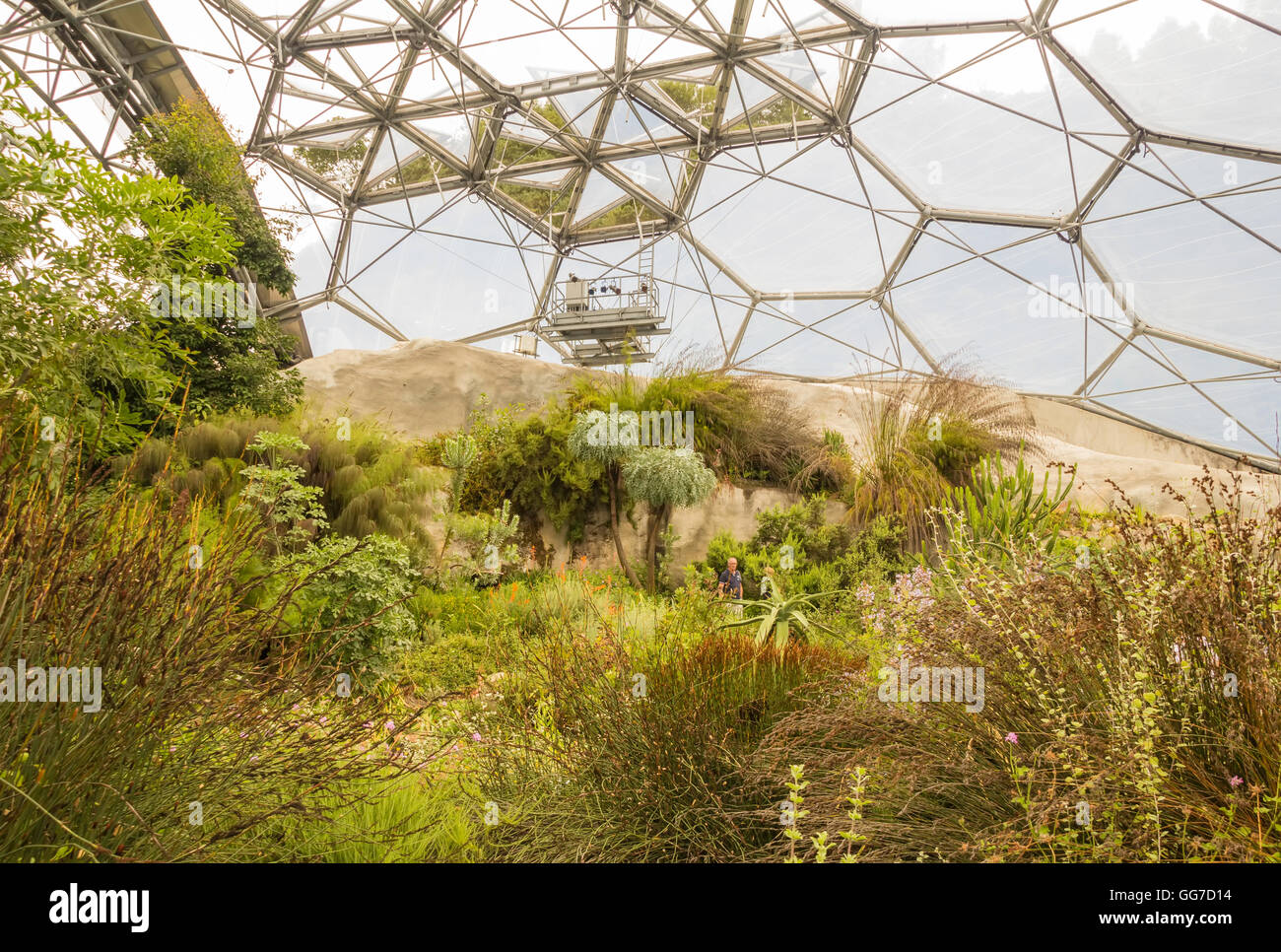 Das mediterrane Biom das Eden Project in Cornwall, england Stockfoto