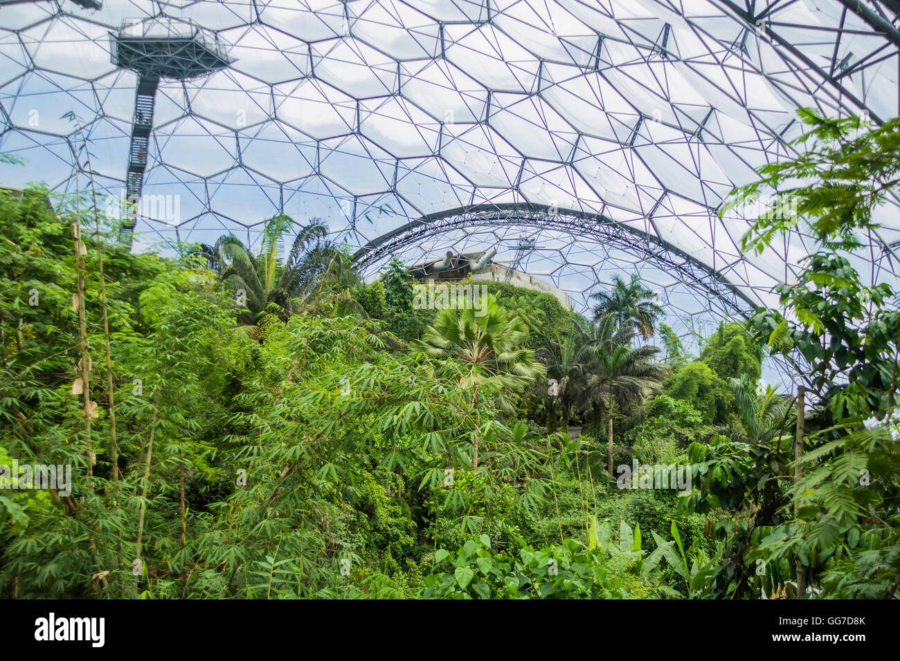 Der Regenwald-Biome von Eden Project in Cornwall, england Stockfoto