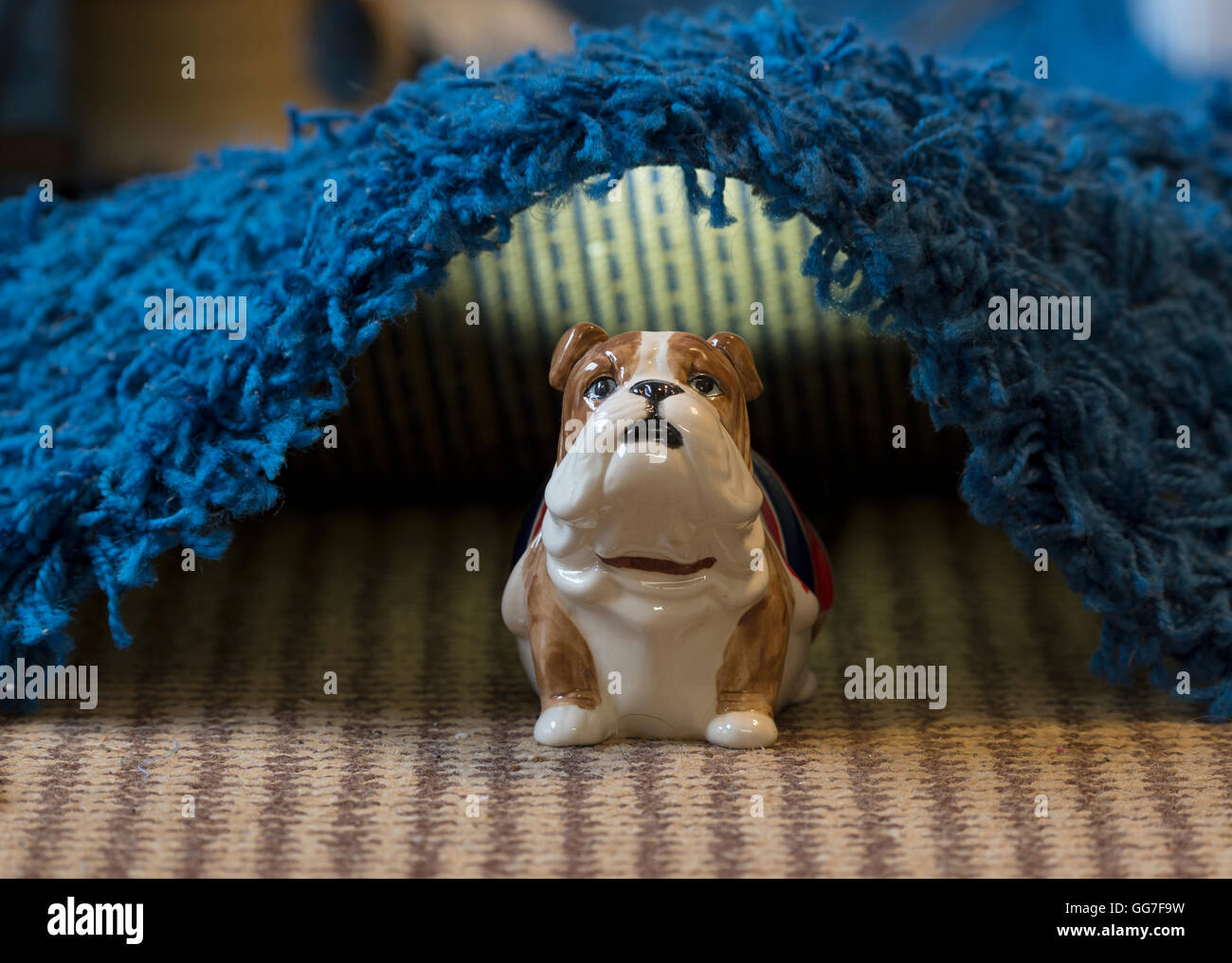 Ein Bulldog-Sparschwein Deckung unter einem Teppich zu Hause Stockfoto