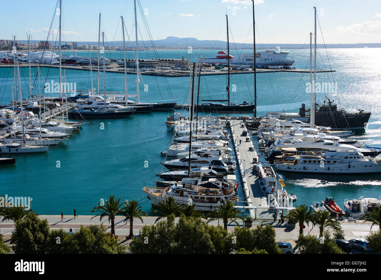 Boote in den Hafen von Palma Marina, Mallorca, Spanien, Mallorca, Balearen Stockfoto